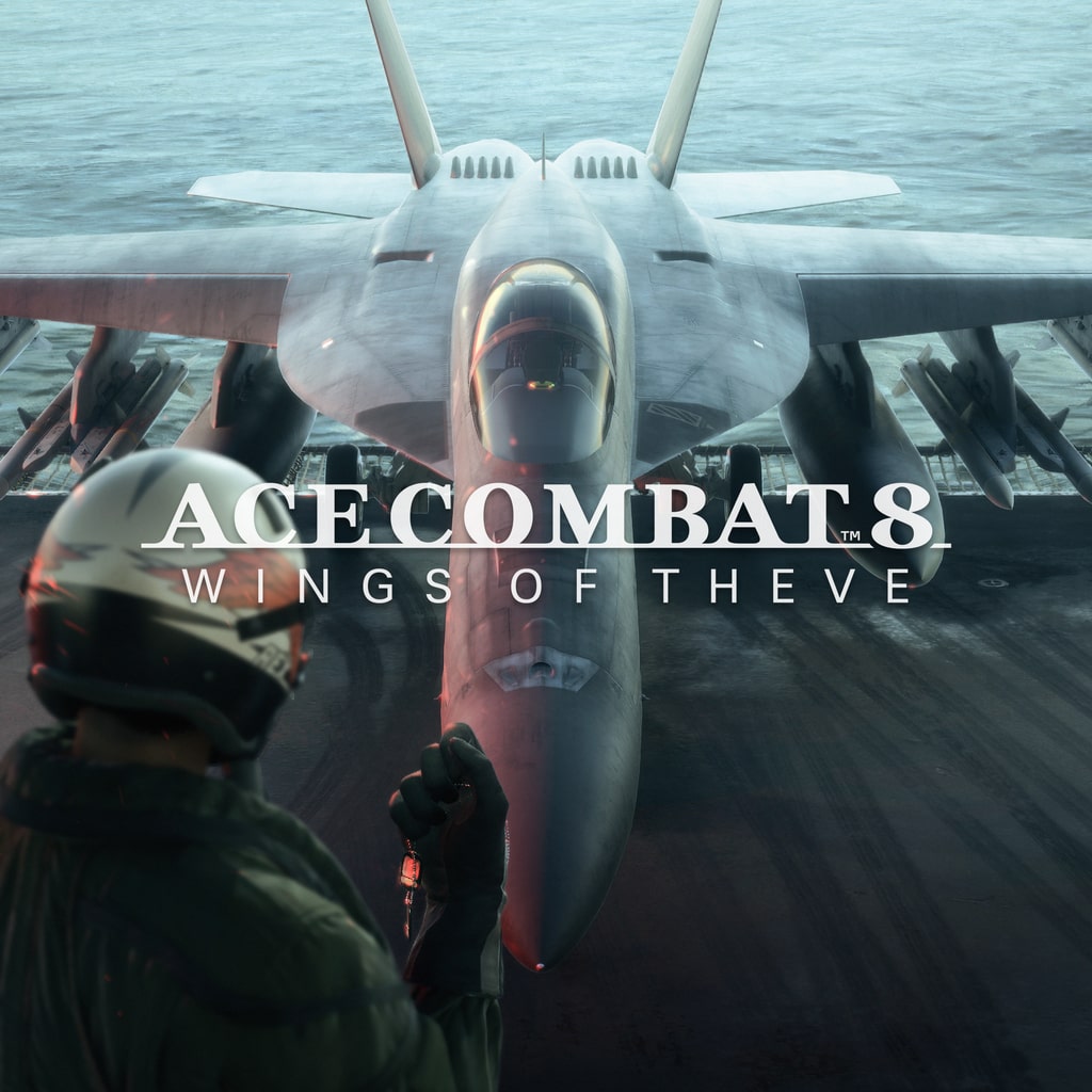 Купить Ace Combat 8 для PS5 П2 П3 дёшево