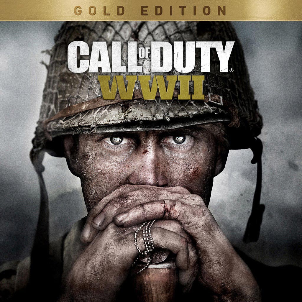 Купить Call of Duty WWII RUS для PS4/PS5 П2 П3 дёшево