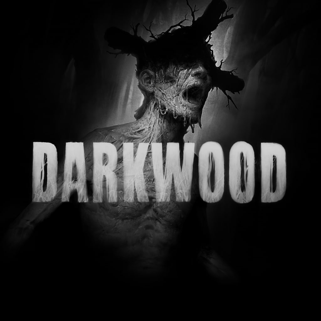 Купить Darkwood для PS4/PS5 П2 П3 дёшево
