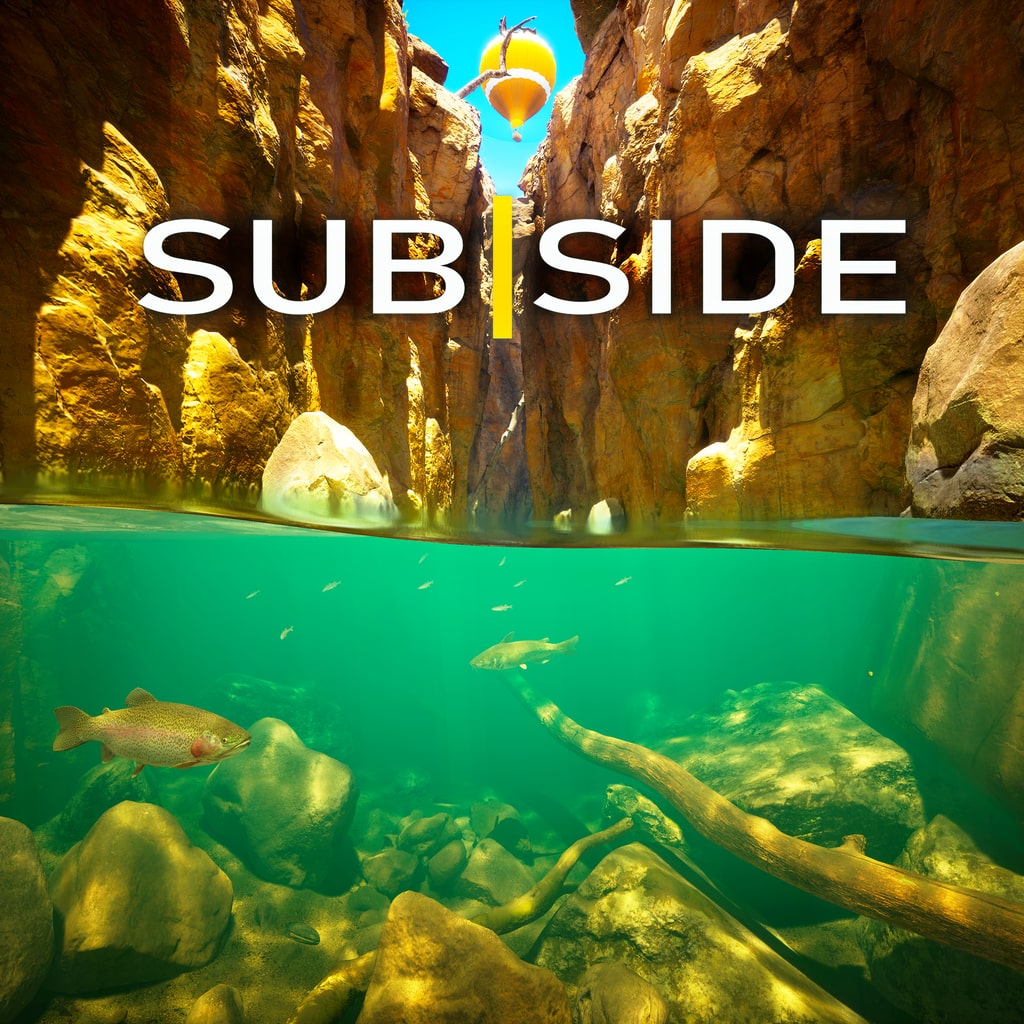 Subside VR2