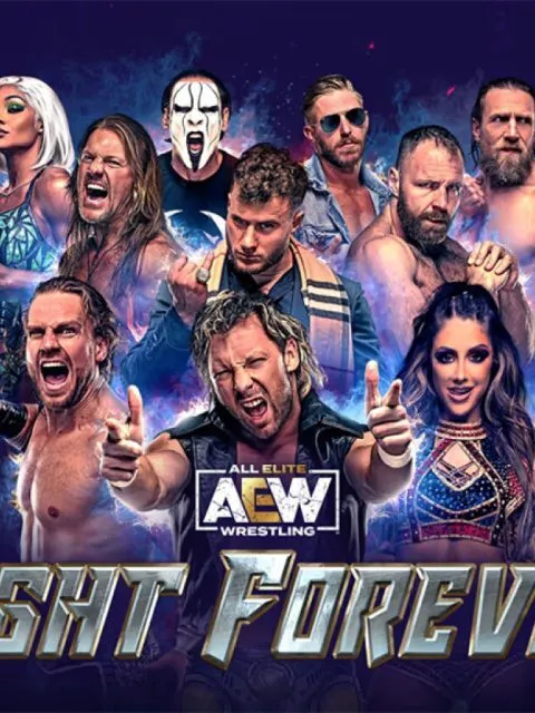 AEW Fight Forever — Standard Edition — PlayStation 4, без активации (П2)