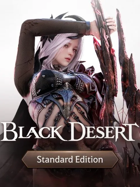 Black Desert Standard Edition — PlayStation 4, без активации (П2)