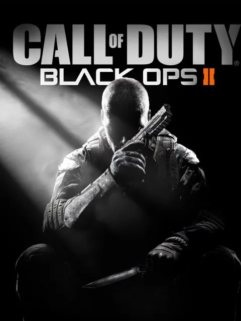 Call of Duty: Black Ops 2 — Standard Edition — PlayStation 4, с активацией (П3)