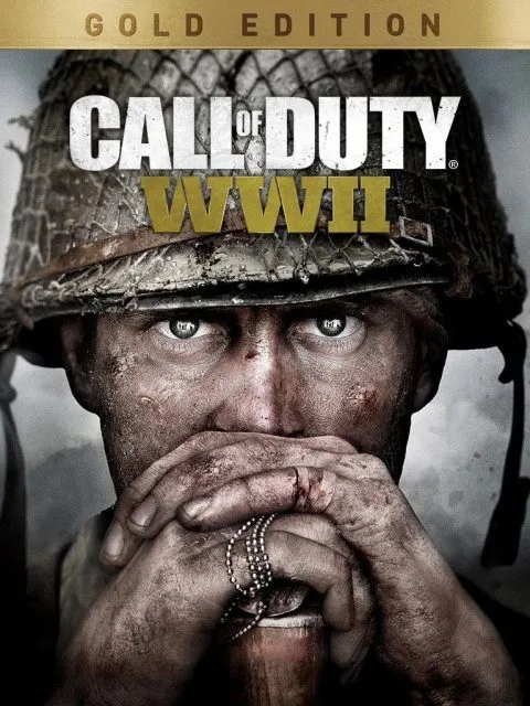 Call of Duty WWII RUS — Standard Edition — PlayStation 4, без активации (П2)