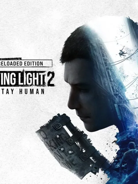 Dying Light 2 — Standard Edition — PlayStation 4, без активации (П2)
