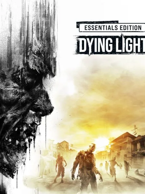 Dying Light — Standard Edition — PlayStation 4, без активации (П2)