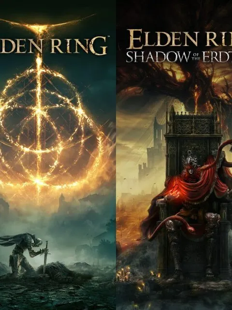 Elden Ring Shadow of the Erdtree Edition — PlayStation 4, с активацией (П3)