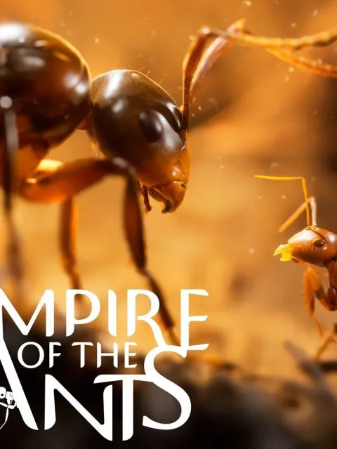 Empire of the Ants — Standard Edition — PlayStation 5, без активации (П2)