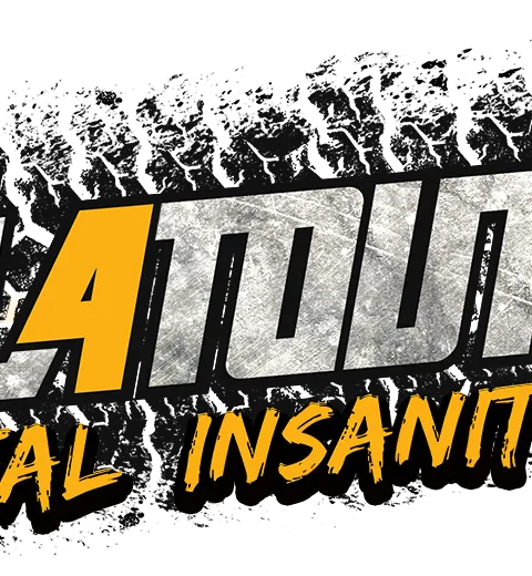 FlatOut 4 Total Insanity — Standard Edition — PlayStation 4, с активацией (П3)