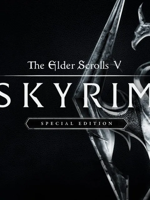 The Elder Scrolls V Skyrim Special Edition — PlayStation 4, без активации (П2)