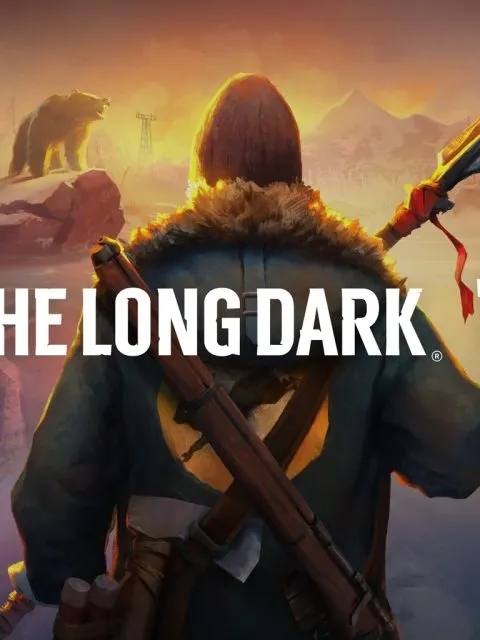 The Long Dark — Standard Edition — PlayStation 4, без активации (П2)