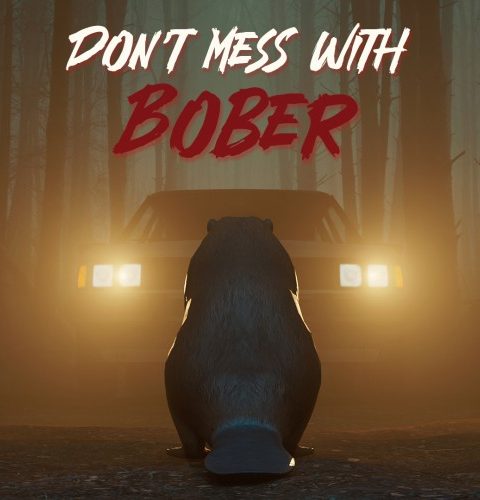 Don't Mess With Bober | Nintendo Switch 1/2