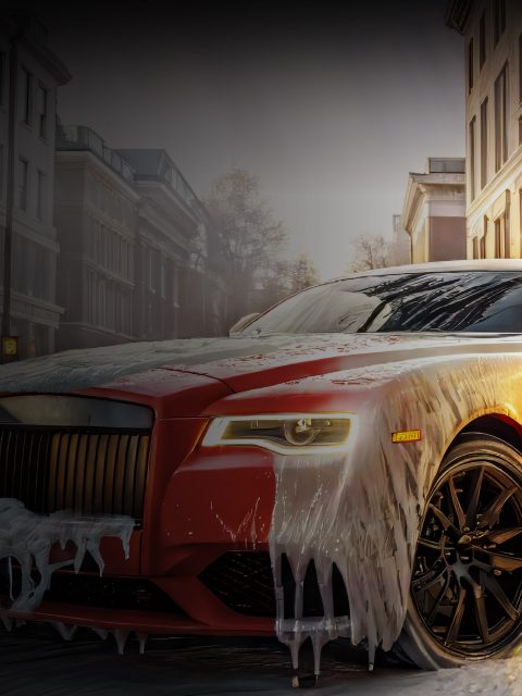Car Detailing & Wash Simulator : Luxury Car Cleaner — Standard Edition — PlayStation 4, без активации (П2)