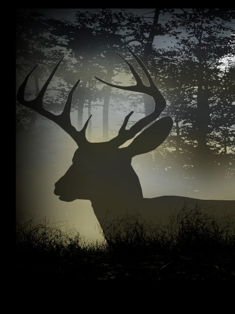 Deer Hunting Camp — Standard Edition — PlayStation 4, без активации (П2)