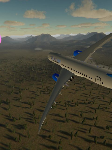 Easy Flight Simulator 2 — Standard Edition — PlayStation 4, с активацией (П3)