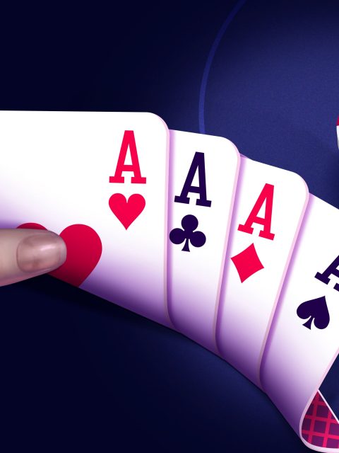 Grand Poker Casino — Standard Edition — PlayStation 4, без активации (П2)