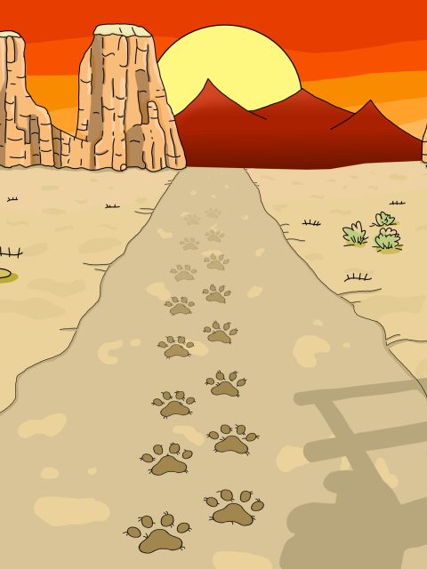 Hidden Cat Outlaws — Standard Edition — PlayStation 5, без активации (П2)