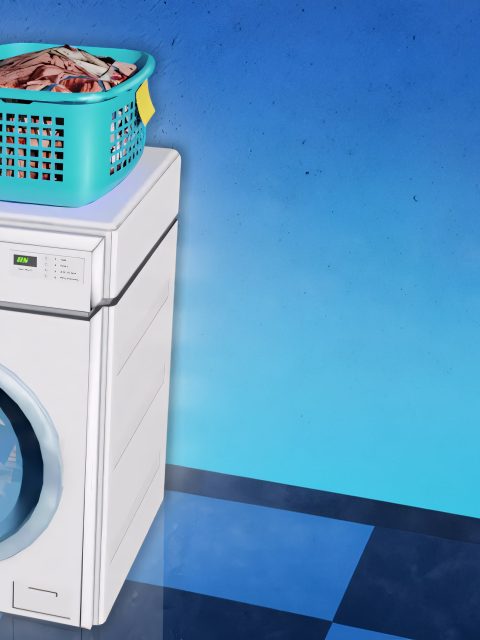 Laundry Store Simulator — Standard Edition — PlayStation 4, без активации (П2)