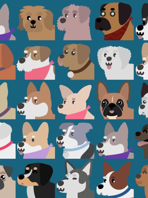 Pet The Pup At The Party — Standard Edition — PlayStation 5, с активацией (П3)