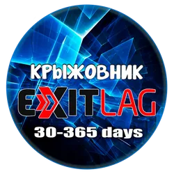 Подписка ExitLag 30-365 дней Автовыдача (RU и 156 стран)