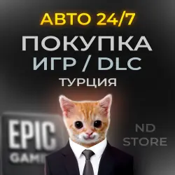 Пополнение Epic Games