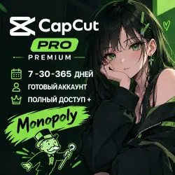 PRO — ПОДПИСКА НА 1-6-12 МЕСЯЦЕВ | ЛИЧНЫЙ АККАУНТ | АВТОВЫДАЧА