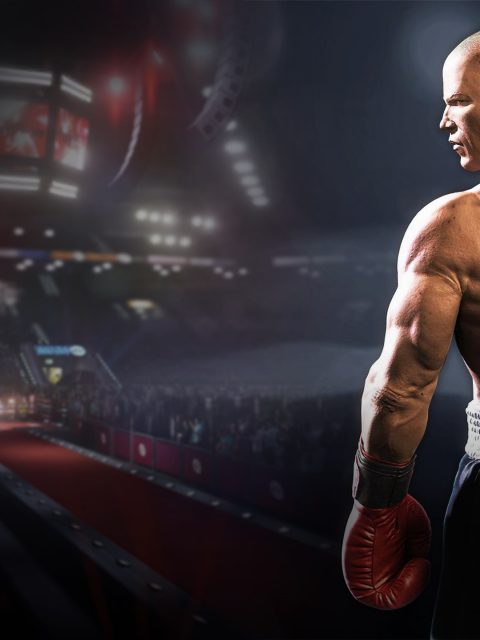 Real Boxing 2: Remastered — П2 — Без активации — PlayStation 4