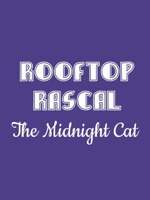 Rooftop Rascal: The Midnight Cat — Standard Edition — PlayStation 5, без активации (П2)