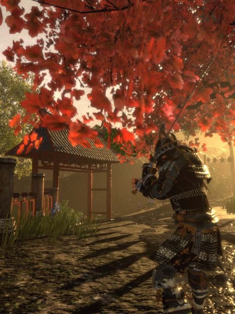 Shadow the Ronin: The Revenge to the Samurai — П3 — С активацией — PlayStation 4