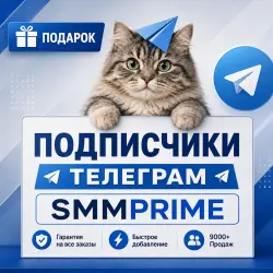 Телеграм Подписчики