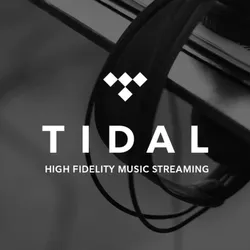 TIDAL HIFI PLUS PREMIUM 1 МЕСЯЦ Личный кабинет