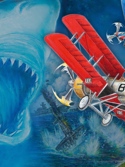 Toaplan Arcade Garage: Flying Fire Shark — П2 — Без активации — PlayStation 4