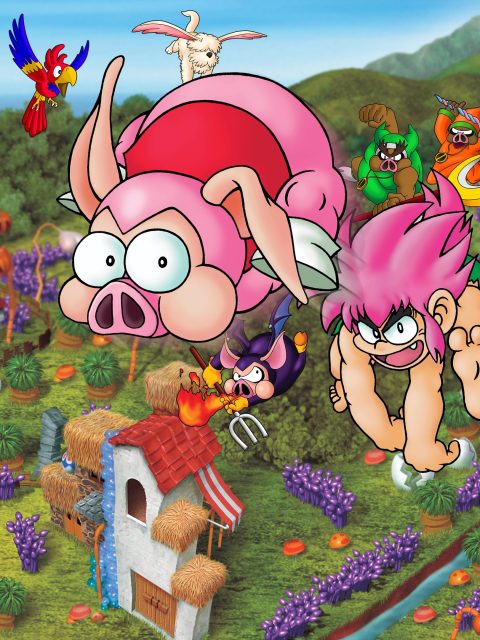 Tombi! Special Edition — Standard Edition — PlayStation 4, без активации (П2)