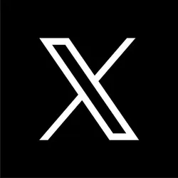 Twitter X Basic/Premium/Plus 1-12 месяцев | FULL WARRANTY