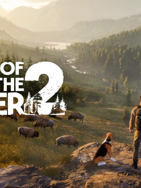 Way of the Hunter 2 — Standard Edition — PlayStation 5, без активации (П2)
