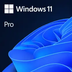 Windows 11 Pro