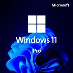 Windows 11 Pro (Профессиональная)