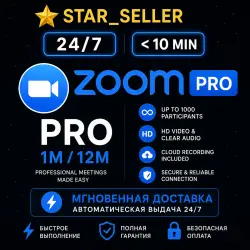 Zoom Workplace Pro — 1 месяц, настройка 24/7