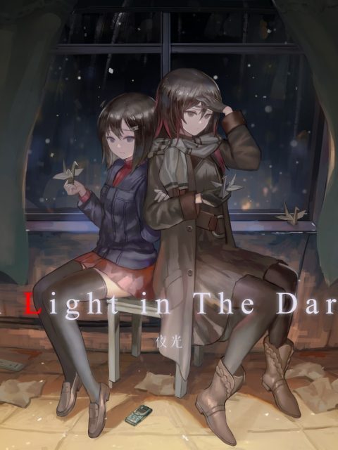 A Light in the Dark — Standard Edition — PlayStation 4, с активацией (П3)