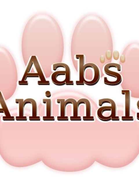 Aabs Animals — Standard Edition — PlayStation 5, с активацией (П3)