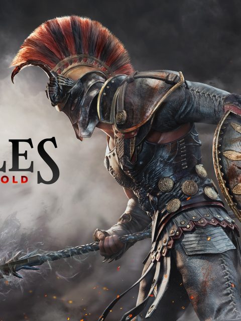 Achilles: Legends Untold — Standard Edition — PlayStation 5, с активацией (П3)