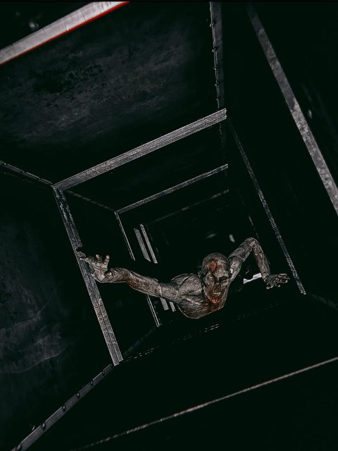 Bad Dreams — Standard Edition — PlayStation 4, с активацией (П3)