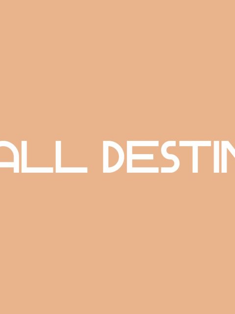 Ball Destiny — Standard Edition — PlayStation 4, без активации (П2)