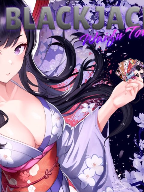 BlackJack Waifu Tour — Standard Edition — PlayStation 4, без активации (П2)