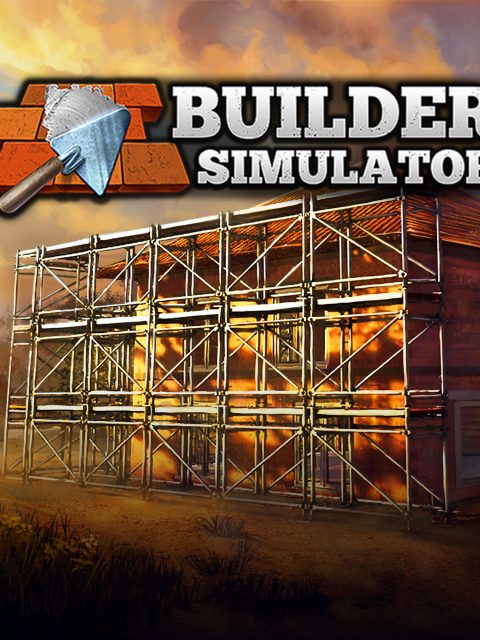 Builder Simulator — Standard Edition — PlayStation 4, без активации (П2)