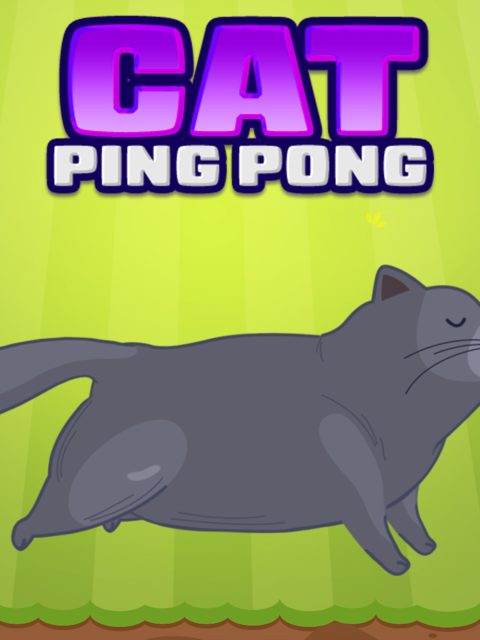 Cat Ping Pong — Standard Edition — PlayStation 4, без активации (П2)
