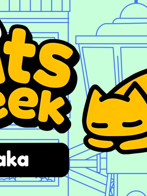 Cats and Seek : Osaka — Standard Edition — PlayStation 5, без активации (П2)