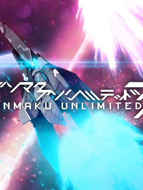 Danmaku Unlimited 3 — Standard Edition — PlayStation 4, без активации (П2)