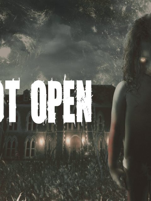 Do Not Open — Standard Edition — PlayStation 4, без активации (П2)