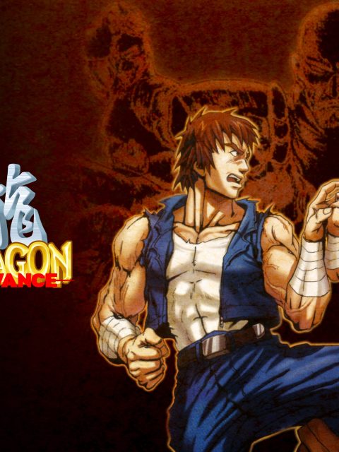 Double Dragon Advance — Standard Edition — PlayStation 4, без активации (П2)
